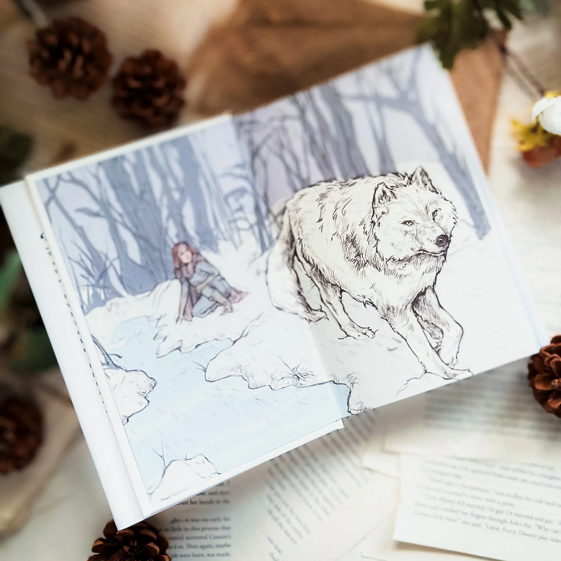 OwlCrate 'THROUGH THE SEASONS' Box - Image 5