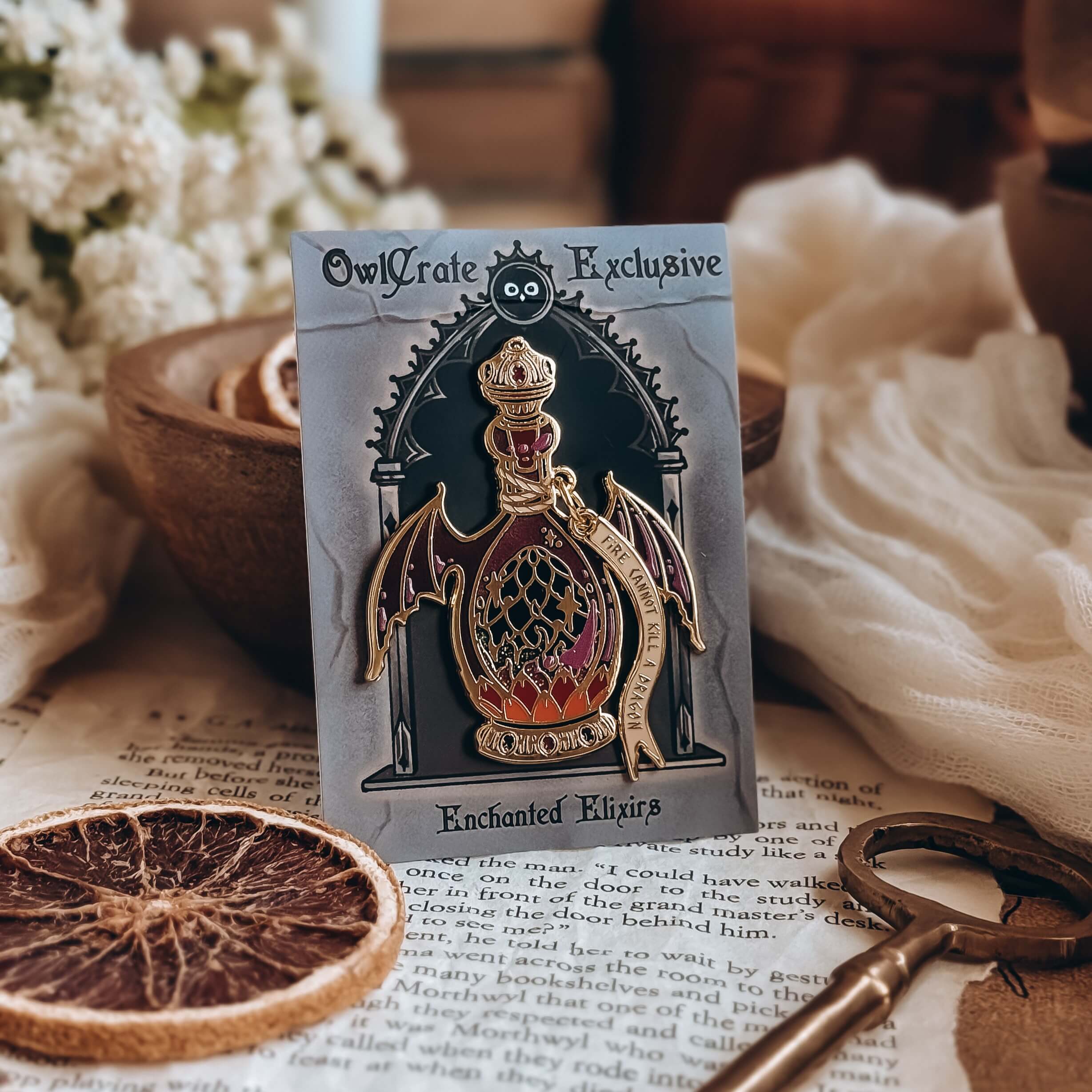 OwlCrate YA ‘BORN FROM THE ASHES’ Box - Image 10