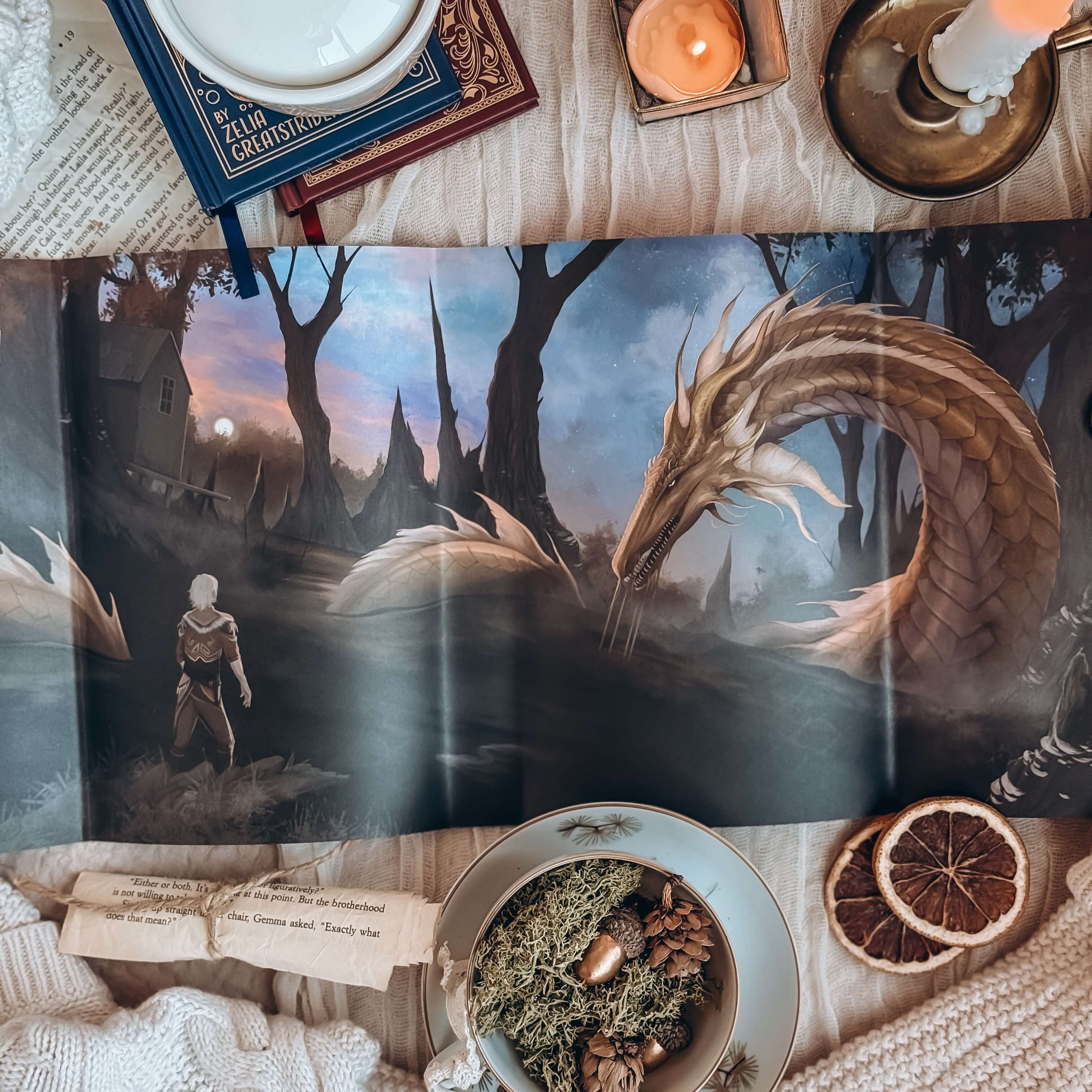 The Sleepless (Exclusive OwlCrate Edition) - Image 3