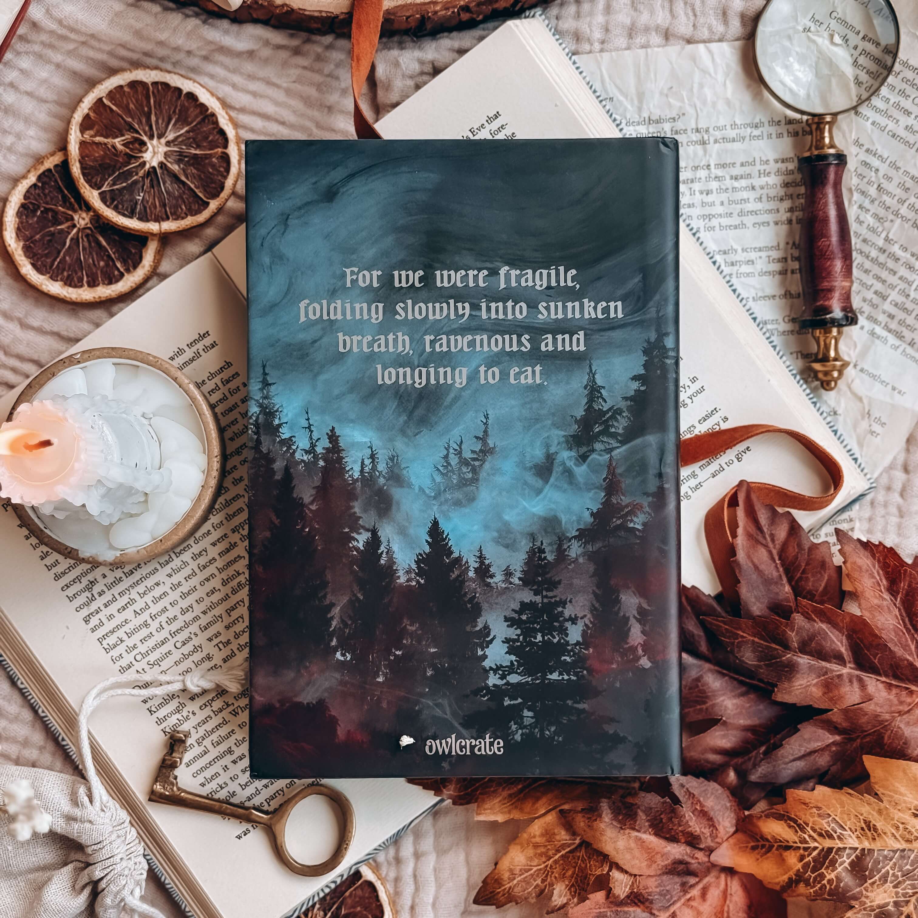 OwlCrate YA ‘ETERNALLY YOURS’ Box - Image 3