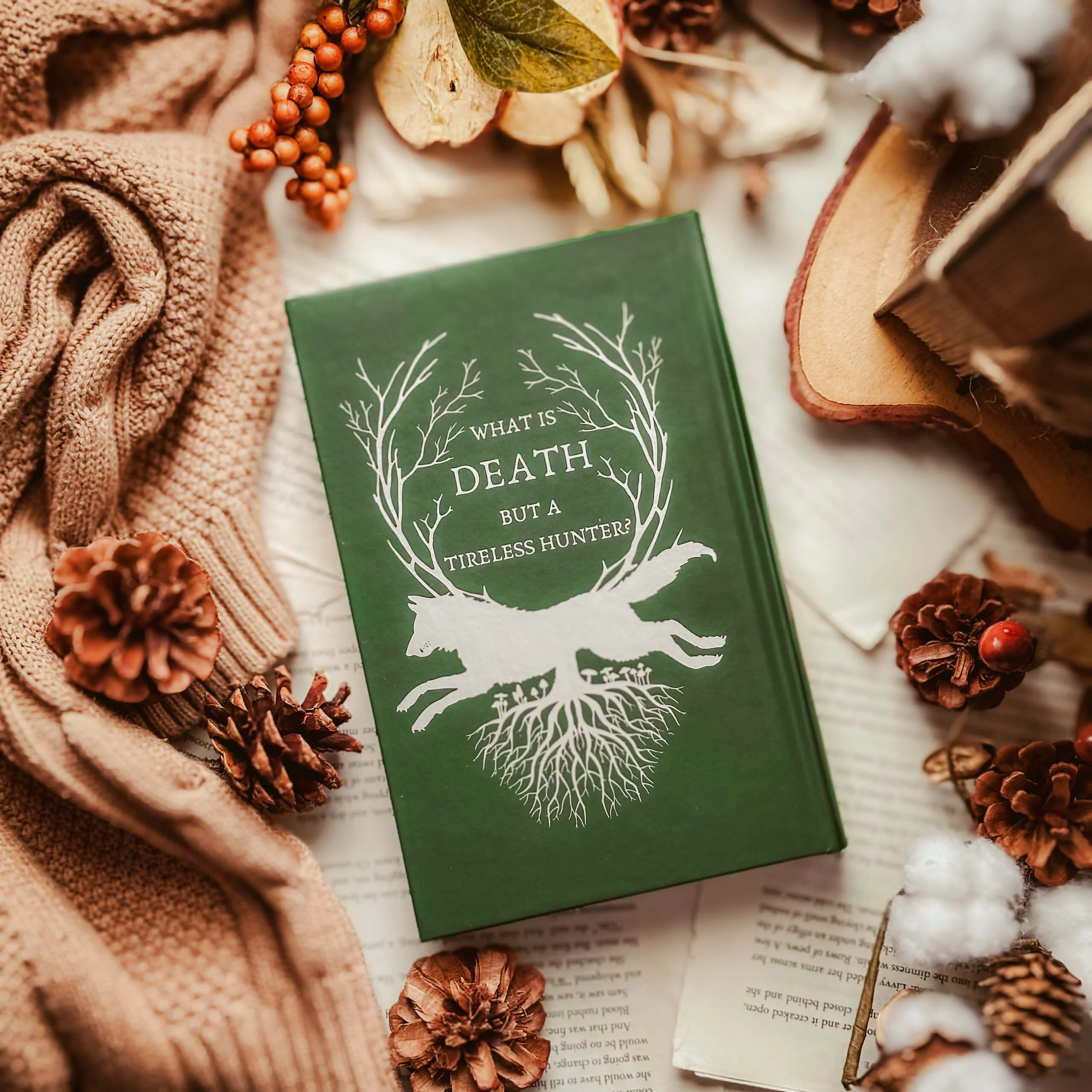 The Summer Queen (Exclusive OwlCrate Edition) - Image 3