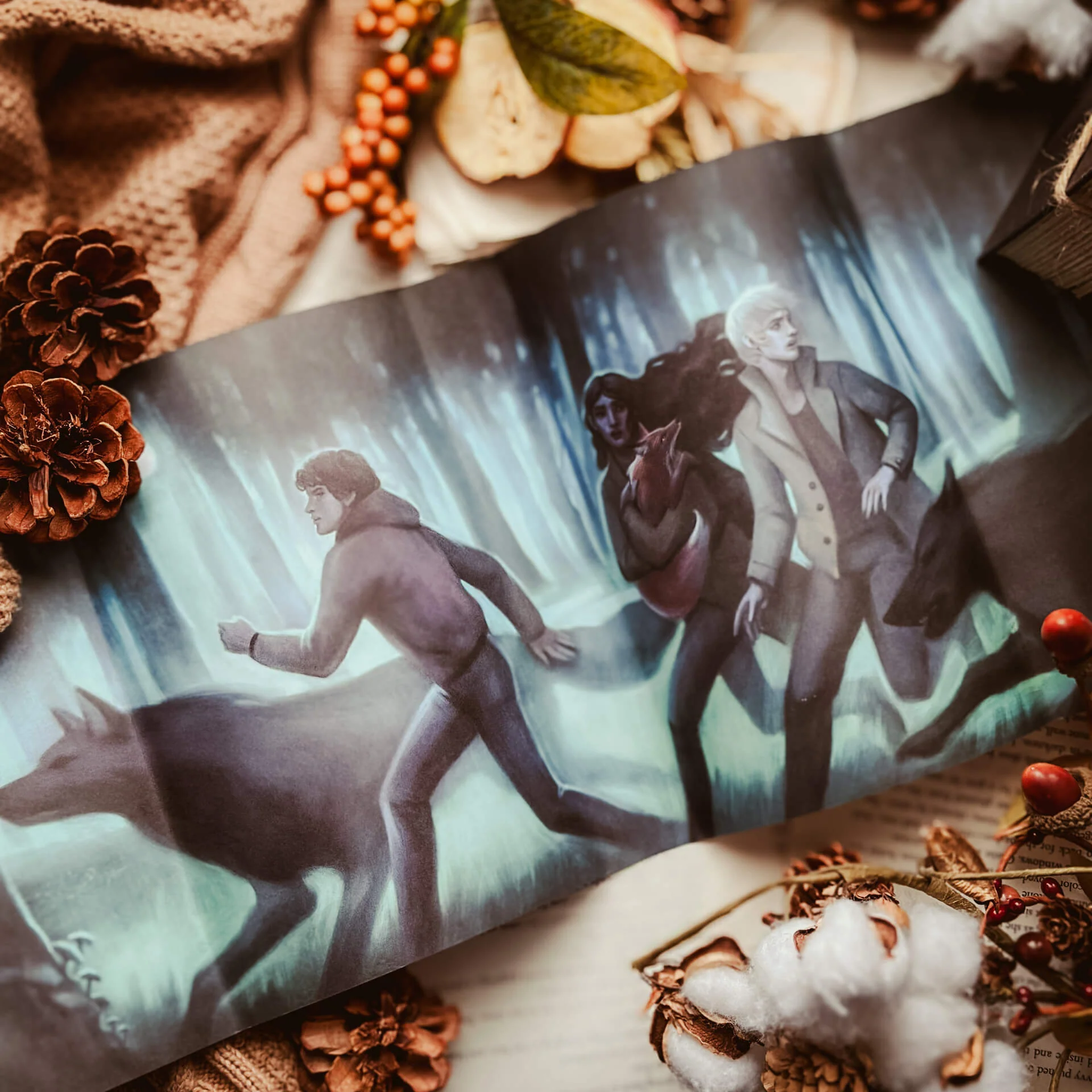 The Summer Queen (Exclusive OwlCrate Edition) - Image 4